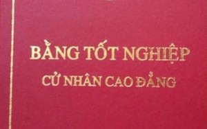 TTCP đang xử lí 1 vụ trưởng khai bằng cao đẳng thành đại học