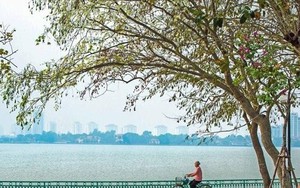 Nhiệt độ khu vực Bắc Bộ và Trung Bộ tăng nhẹ, Hà Nội thời tiết mát mẻ