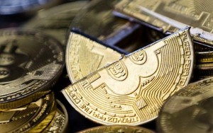Bitcoin vững vàng trên mốc 8.000 USD