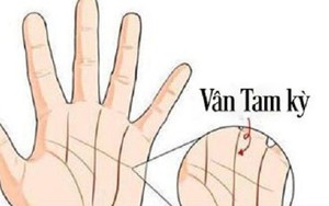 Xem chỉ tay hiếm gặp, không sớm thì muộn cũng phát tài