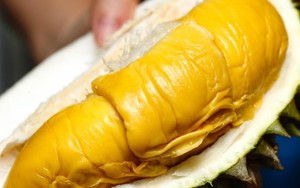 Sầu riêng Malaysia rộng đường sang Trung Quốc