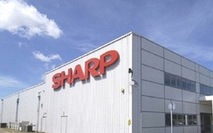 Sharp lên kế hoạch chuyển thị trường từ Trung Quốc sang Việt Nam