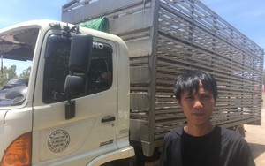 'Hôi vịt' trên xe tải bị lật ở Quảng Bình: ‘Có người bắt đến chục con, lái xe chạy theo van xin mà không được'