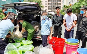 Giải mã quái chiêu những đường dây ma túy “khủng”