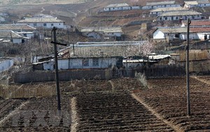5.000 tấn gạo giúp nhân dân Triều Tiên khắc phục hậu quả thiên tai