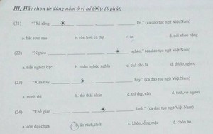 Đề thi Tiếng Việt thử tài ca dao tục ngữ dành cho người nước ngoài khiến dân mạng vò đầu bứt tai không làm được