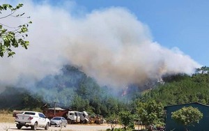 Hàng trăm người dân vật lộn với nắng nóng quay quắt dập lửa, cứu rừng thông