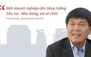 Nỗi buồn của "ông trùm" thép Trần Đình Long: Giá quặng sắt lên cao kỷ lục kéo lợi nhuận liên tiếp đi xuống, giá cổ phiếu sụt giảm hơn 30%
