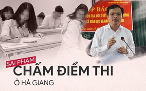 Bí ẩn con lợn nhựa vỡ lưng thu được trong vụ gian lận điểm thi Hà Giang