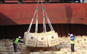 Mỹ và WFP thảo luận miễn trừng phạt viện trợ lương thực cho Triều Tiên