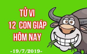 Tử vi 12 con giáp ngày 19/7/2019: Dần vượng tài, Tỵ làm bao nhiêu rơi bấy nhiêu