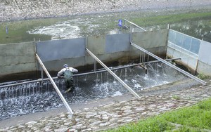 Chuyên gia Nhật Bản đưa ra 6 tiêu chí hồi sinh sông Tô Lịch