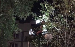 Nam thanh niên “ngáo đá” leo cột đèn trong đêm
