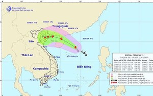 Áp thấp nhiệt đới mạnh lên thành bão, đổ bộ Quảng Ninh-Nam Định