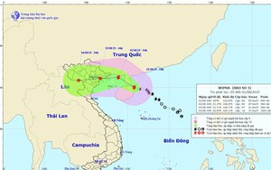 Tối 1/8, bão số 3 sẽ đi vào Vịnh Bắc Bộ và có khả năng mạnh thêm