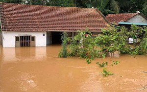 Xác định nguyên nhân ngập lụt khủng khiếp ở Đồng Nai