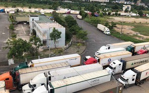 Trung Quốc siết thông quan, 500 xe container thanh long ùn ứ tại cửa khẩu Lào Cai