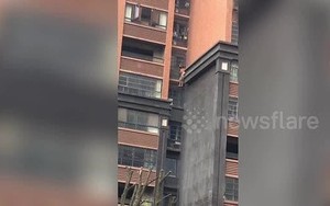 Ông cõng cháu leo bên ngoài tòa nhà để trốn khỏi đám cháy
