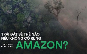 Cái kết của một hành tinh nếu rừng Amazon biến mất: Đừng nói cứu thế giới, bạn đang tự cứu chính mình mà thôi!