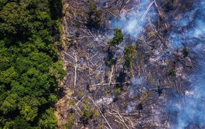 The New York Times: Phân tích ảnh vệ tinh đã chỉ ra chính xác thủ phạm gây thảm họa cháy rừng tại Amazon