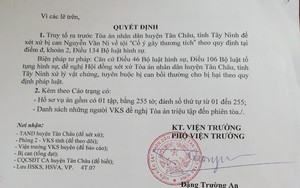 Ẩu đả vì cành cây, hai bên đều bị truy tố