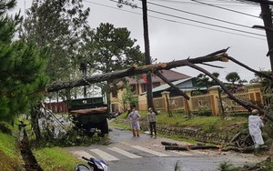 Lũ quét, lốc xoáy nhiều hộ dân ở Lâm Đồng phải di dời