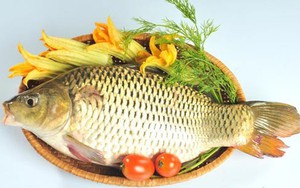 Món ăn thuốc trị chứng ù tai