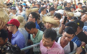Vạn người chen lấn, xô đẩy xem chọi trâu Đồ Sơn