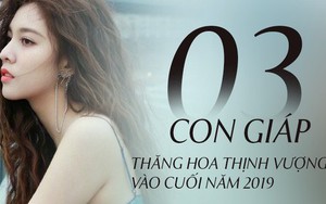 Cuối năm 2019, 3 con giáp này có phúc lộc tề toàn, đầu tư 1 sinh lời 10, cuộc sống từ tháng 11 trở đi viên mãn sung túc