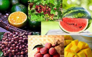 Ăn hoa quả như thế nào để tốt cho cơ thể?