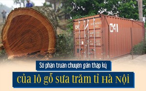 Infographic: Số phận truân chuyên gần thập kỷ của lô gỗ sưa trăm tỉ Hà Nội