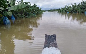 Thêm một cái 'hạn' chưa từng có HAGL Agrico (HNG): 1.500 ha trái cây sắp thu hoạch tại Lào đang bị ngập lụt nặng nề