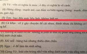 Xuất hiện dòng chữ "Cà khịa" trong sách giáo khoa Ngữ Văn, hóa ra cụm từ hot trend này có từ thời "Dế mèn phiêu lưu ký"