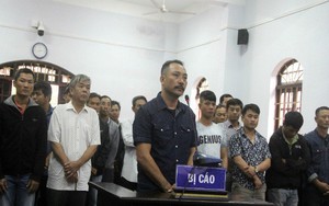 Trùm gỗ lậu Phượng ‘râu’ lãnh án cao nhất 8,5 năm tù