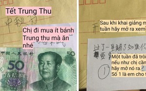 Cho tiền chị gái đi học xa theo cách siêu đặc biệt, cậu em trai của hiếm khiến dân tình "đổ gục"