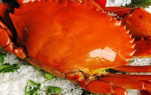 Cua biển xuất sang Trung Quốc giá chỉ còn 46.000 đồng/kg