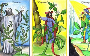 Rút 1 lá bài Tarot để biết may mắn và cơ hội nào sẽ ập đến với bạn trong tuần này