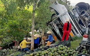 Người dân giúp tài xế nhặt hàng tấn trái cây rơi sau tai nạn