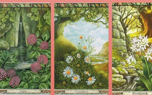 Bật mí lá bài Oracle có thể mang đến may mắn, giúp bạn vượt qua vận hạn trong cuộc sống đầu năm 2020