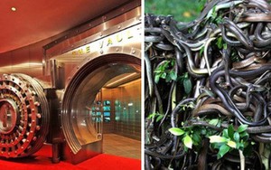 7 địa danh biệt lập và bí ẩn với thế giới bên ngoài, dù giàu có đến đâu cũng khó lòng đặt chân tới