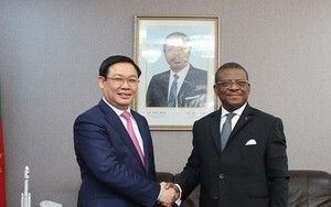 Phó Thủ tướng Vương Đình Huệ hội đàm với Thủ tướng Cameroon Joseph Dion Ngute