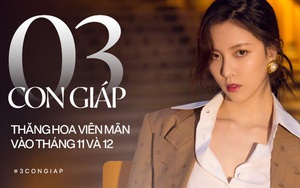 Tháng 11 thần tài giá đáo, tháng 12 quý nhân lâm môn, 3 con giáp này không thành Rồng cũng thành Phượng, sự nghiệp tài vận thập toàn thập mỹ