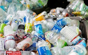 Nhật Bản sử dụng rác thải nhựa từ biển làm chai đựng nước rửa bát