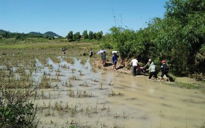 Đắk Lắk ngập nặng sau bão, học sinh lội ruộng đến trường