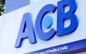 Một công ty vốn chỉ 5 tỷ đi vay nước ngoài 1.400 tỷ đồng với lãi suất 'cắt cổ' 20%/năm để mua 60 triệu cổ phiếu ACB?
