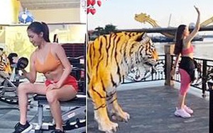 Điểm danh những thử thách được 'lên đời' thành trào lưu đình đám trên mạng xã hội trong năm 2019
