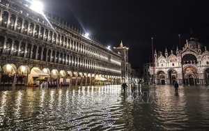 Thảm họa thủy triều 'nhấn chìm' Venice trong 'biển nước'