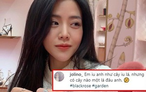 Miệt mài rắc thính thế này mà em gái Ông Cao Thắng vẫn giữ chức hội trưởng hội FA: Thiệt khó tin quá đi!