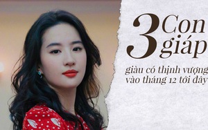 Tháng cuối cùng của năm 2019, 3 con giáp này khổ tận cam lai, nghèo mấy cũng chuyển vận giàu sang, phúc lộc thọ tam hỷ lâm môn