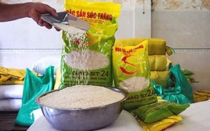 Hành trình 20 năm đưa gạo Việt vượt Thái Lan thành gạo ngon nhất thế giới